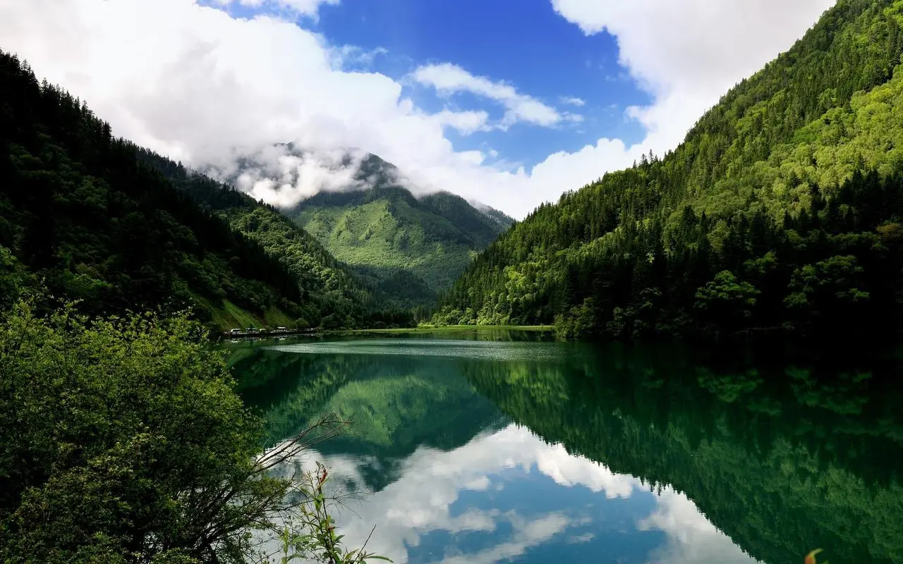 稳定性高性能